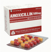 Amoxicillin 500mg Mekophar