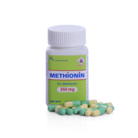 Methionin Domesco