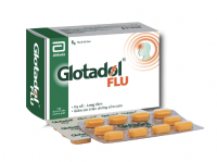 Abbott Glotadol Flu