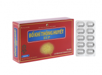 Bổ Khí Thông Huyết BVP