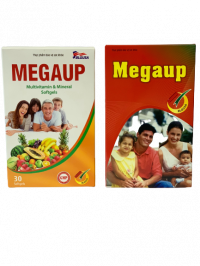 Megaup