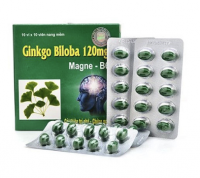 Ginkgo Biloba 120mg Thanh Hằng