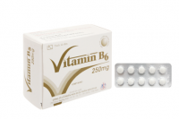 Vitamin B6 Mekophar 