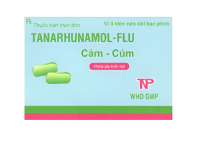 TanaRhunamol-Flu Thành Nam
