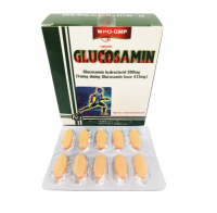 Glucosamin 500mg Kharphaco