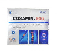 Glucosamin 500	