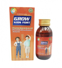 Siro Grow Kids Fort	