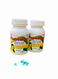 Vadol Flu DX Chai Vacopharm