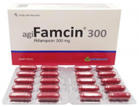 AgiFamcin 300 Agimexpharm