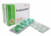 Terpin Goledin Nic Pharma (Hộp/100 viên nang)