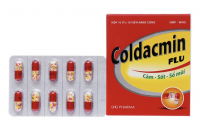 Coldacmin Flu H100v DHG