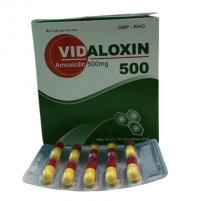 Vidaloxin Amoxicillin 500mg Vidipha