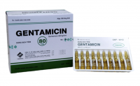 Gentamicin H10 Ống Vidipha	