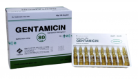 Gentamicin H100 Ống Vidipha	