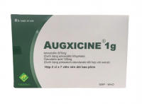 Augxicine 1g H14v Vidipha
