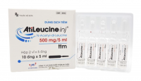 Atileucine An Thiên