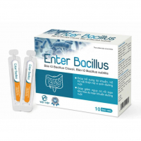 Enter Bacillus Tradiphar H/10 ống