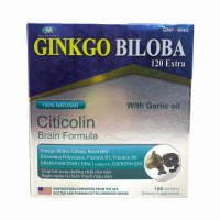 Ginkgo Biloba 120 Extra
