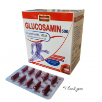 Glucosamin 500 USAPharm