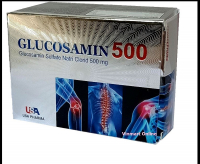 Glucosamin 500 Usa Pharma