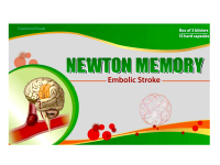 Newton Memory