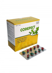 Codepect Vinaphar