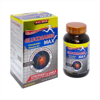 Glucosamin Max