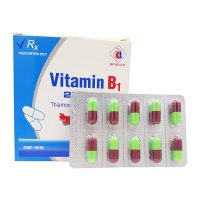 Vitamin B1 250mg Domesco