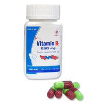 Vitamin B1 250mg Domesco