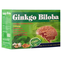 Ginkgo Biloba 120 Extra USA
