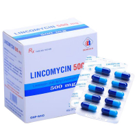 Lincomycin 500 Domesco