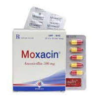 Moxacin 500mg Domesco