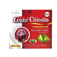 Ginkgo Citicolin Q10 240mg USAPharma