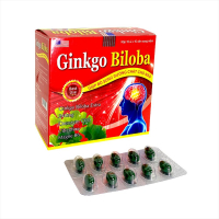 Ginkgo Biloba 240mg Mediusa