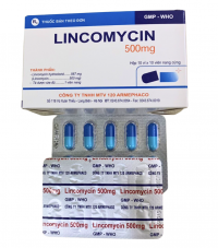 Lincomycin 500mg Armephaco 120