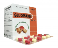 Glucosamin 500mg Armephaco 120