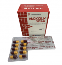 Amoxicilin 500mg Mediplantex