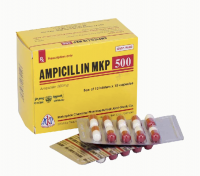 Ampicillin MKP 500 Mekophar