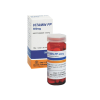 Vitamin Pp 500mg Mekophar Chai