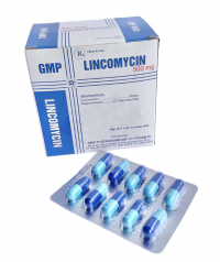 Lincomycin 500mg Nghệ An