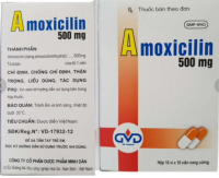 Amoxicillin 500mg Minh Dân