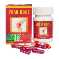 Yuan Bone