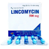 Lincomycin 500mg Thanh Hoá