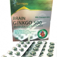 Brain Ginkgo 500