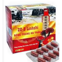 20B Linhzhi Đông Trùng Hạ Thảo