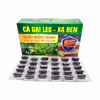 Cà Gai Leo - Xạ Đen Akopha Pháp