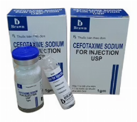 Cefotaxime Sodium 1g Brawn
