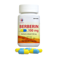 Thuốc Berberin 100mg Domesco