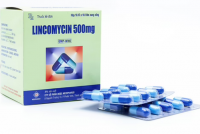 Lincomycin 500mg Medipharco (H/100v)